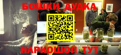 прущие грибы Канаш