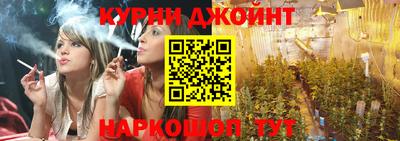 прущие грибы Канаш