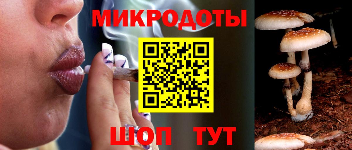 Волоколамск  Псилоцибиновые грибы Psilocybe  Псилоцибиновые грибы Psilocybine cubensis  купить закладку  Вход с VPN 