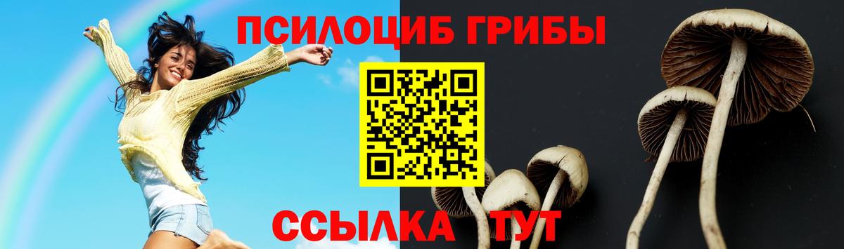 Галлюциногенные грибы Psilocybine cubensis Волоколамск